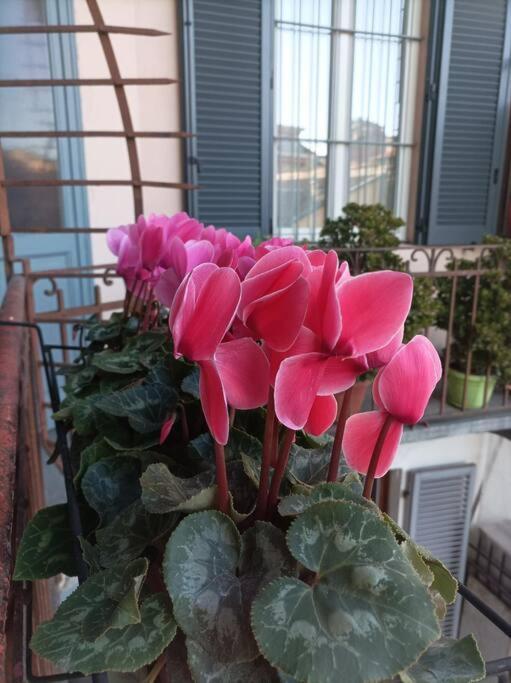 Pane E Tulipani, Cozy Apartment Near City Center Turin Exterior foto